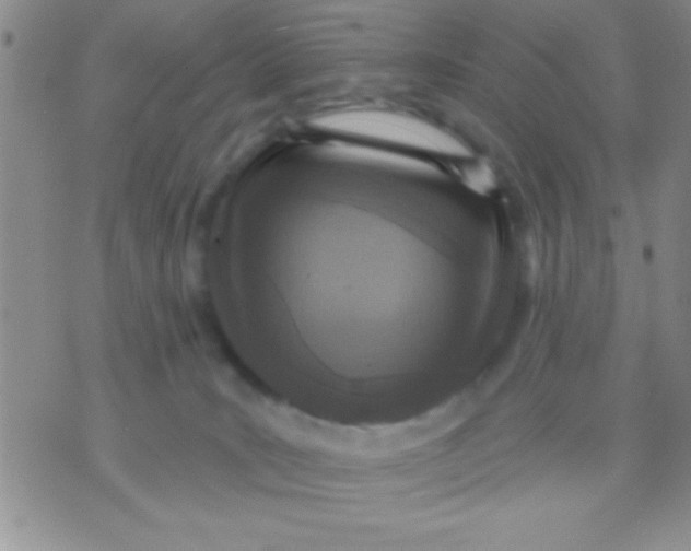 X0000071960035200607282044