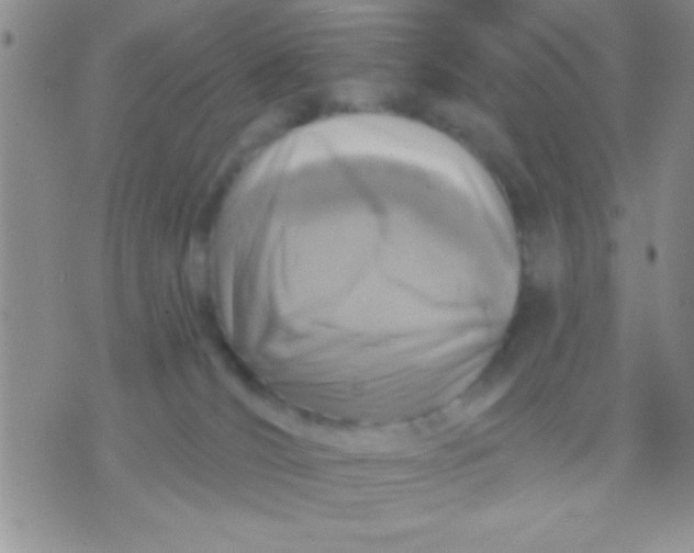 X0000071960036200607282044