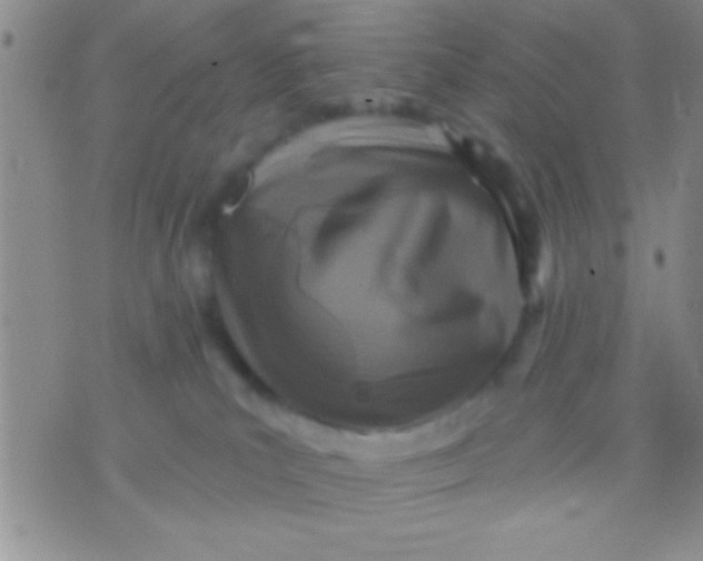 X0000071960039200607282044