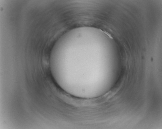 X0000071960040200607282044