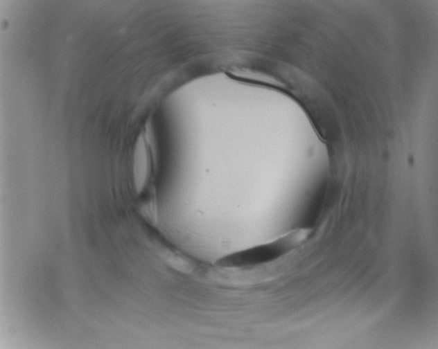 X0000071960041200607282044