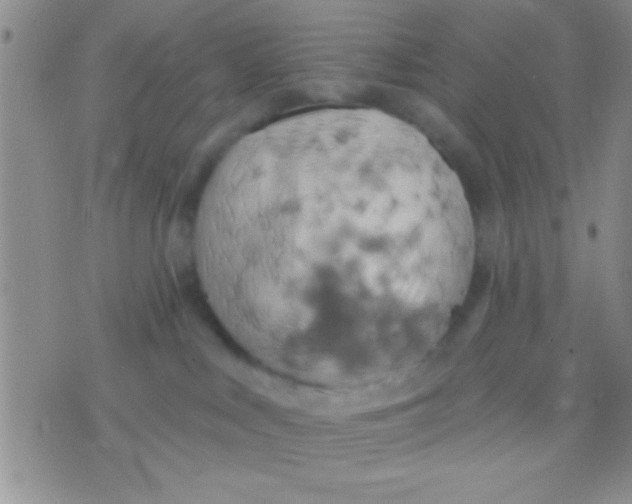 X0000071960043200607282044