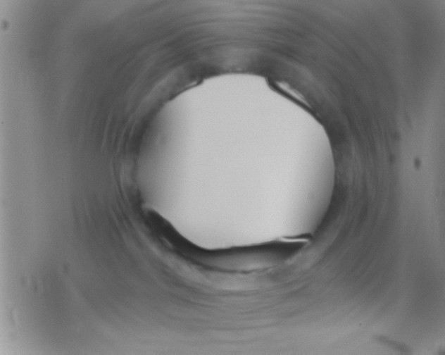 X0000071960044200607282044