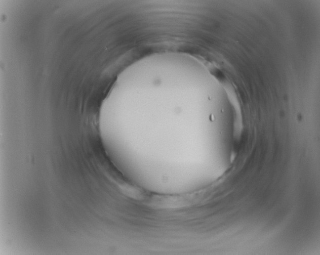 X0000071960045200607282044