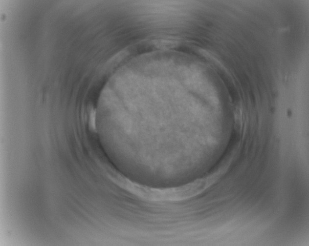 X0000071960046200607282044