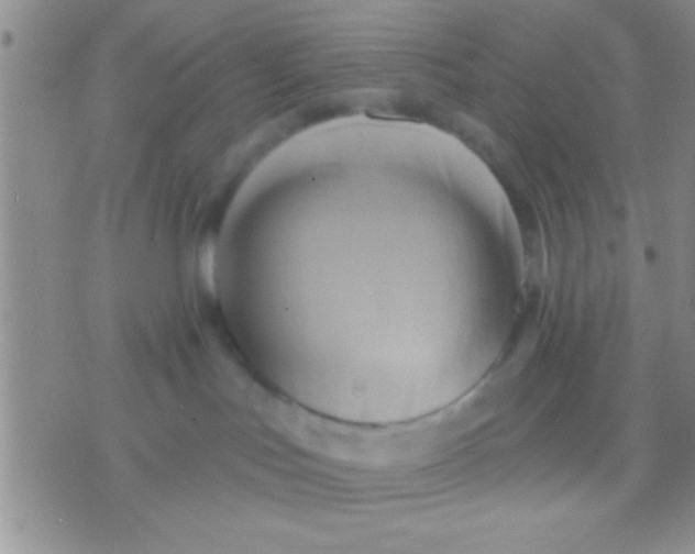 X0000071960047200607282044