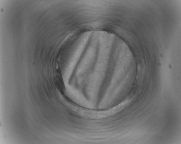 X0000071960048200607282044