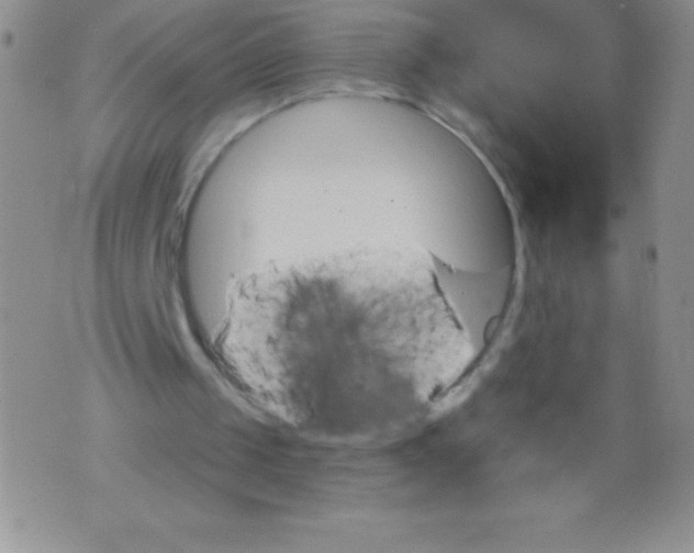 X0000071960049200607282043