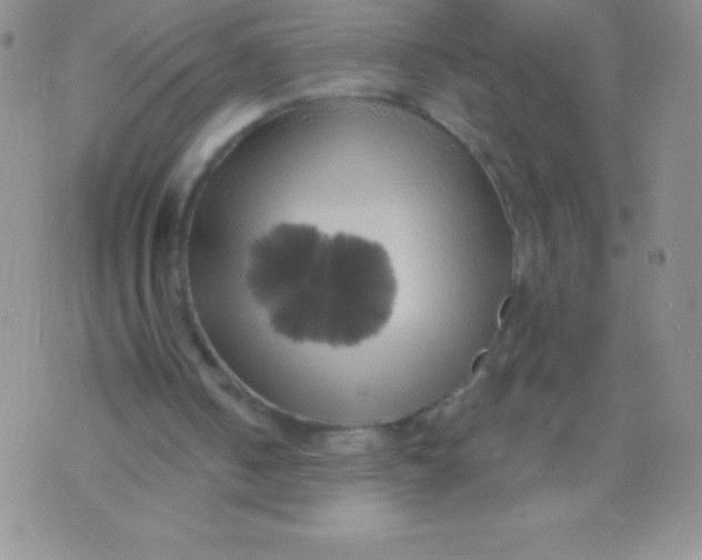 X0000071960050200607282043