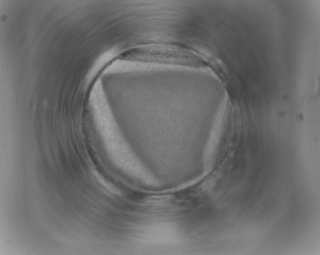 X0000071960051200607282043