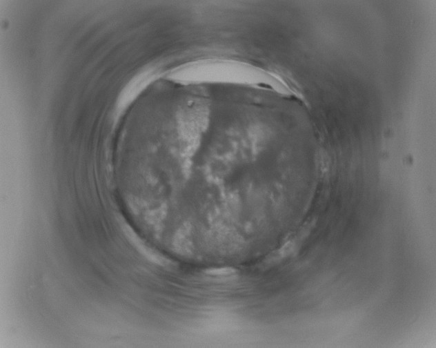 X0000071960053200607282043