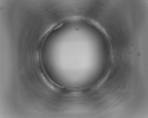 X0000071960057200607282043