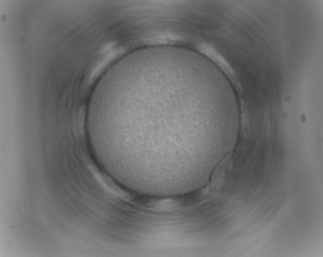 X0000071960058200607282043