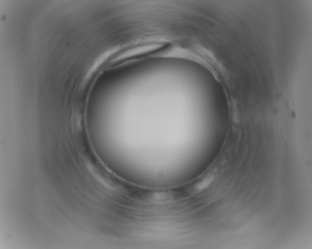 X0000071960060200607282043