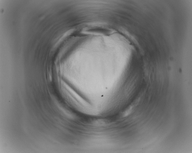 X0000071960062200607282043