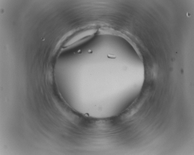 X0000071960064200607282043