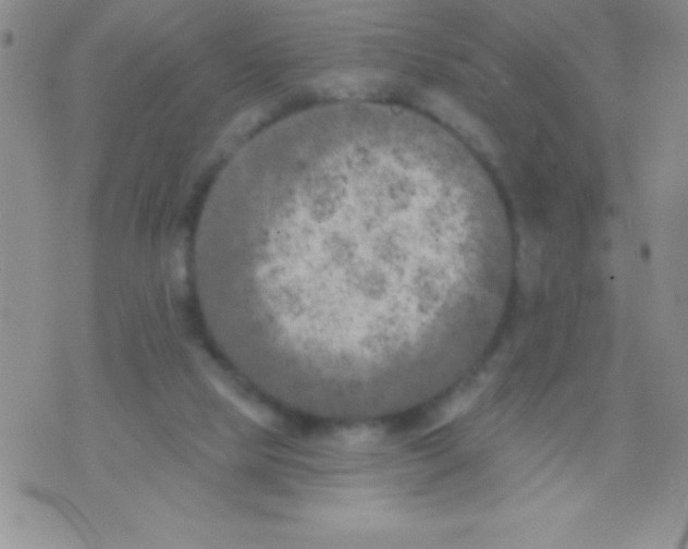 X0000071960065200607282043