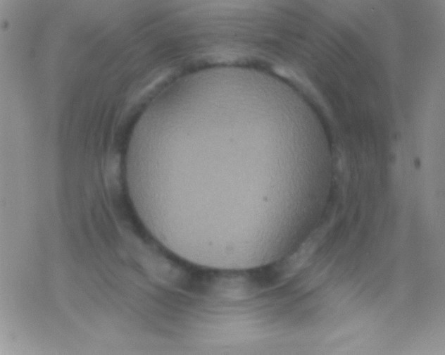 X0000071960066200607282043