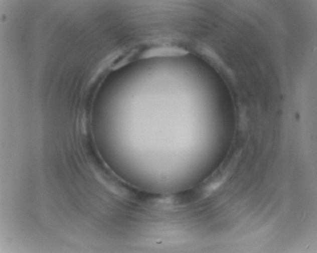 X0000071960068200607282043