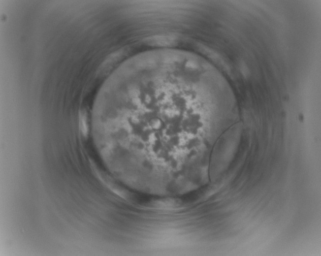 X0000071960069200607282043