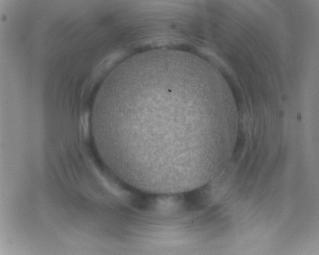 X0000071960070200607282043