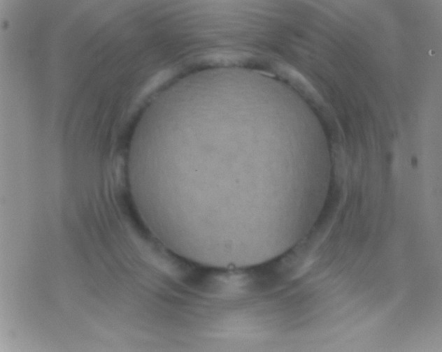 X0000071960071200607282043