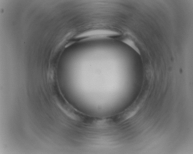 X0000071960072200607282043