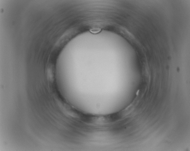 X0000071960074200607282043