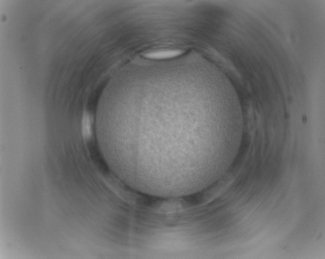 X0000071960075200607282044