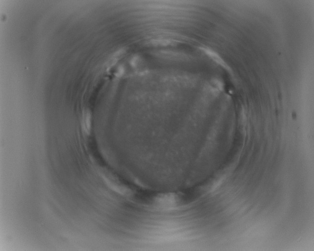 X0000071960076200607282044