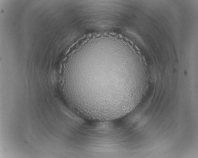 X0000071960077200607282044