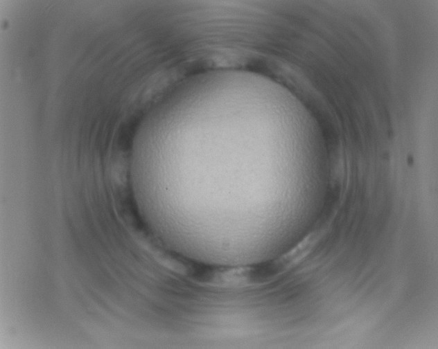 X0000071960078200607282044