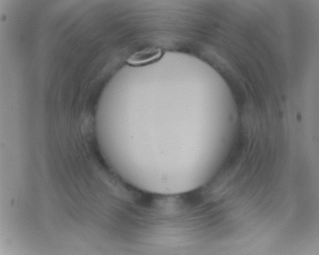 X0000071960079200607282044