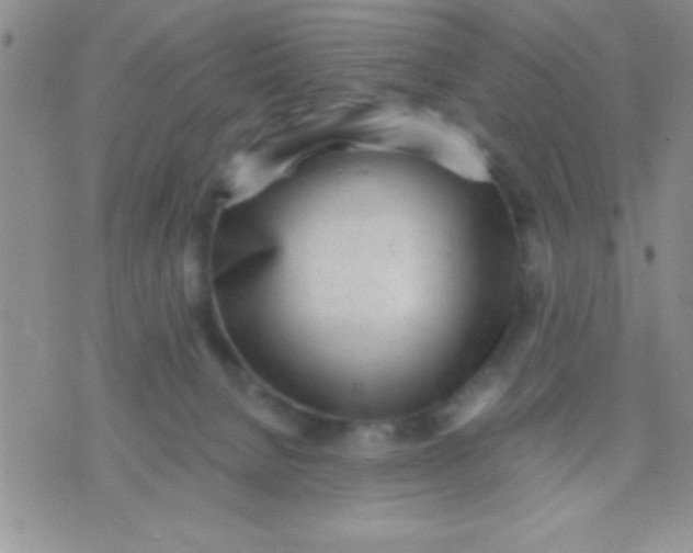 X0000071960080200607282044