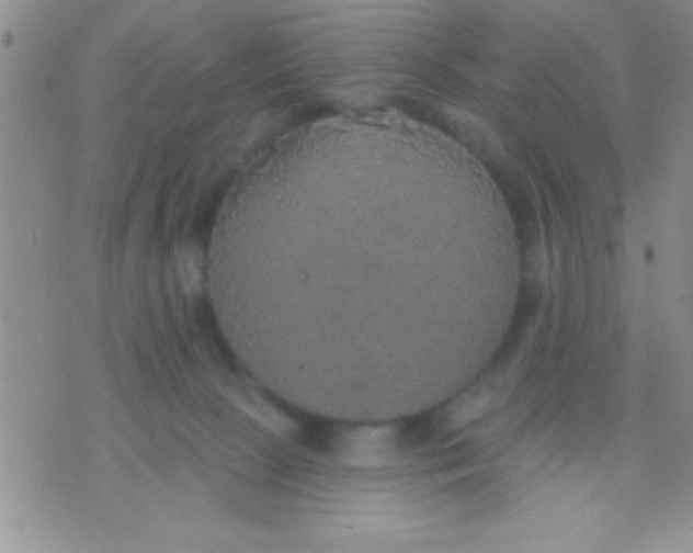 X0000071960081200607282044