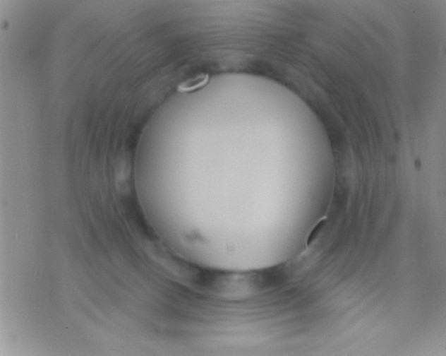 X0000071960082200607282044