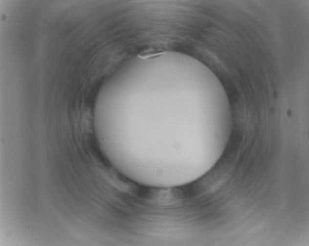 X0000071960083200607282044