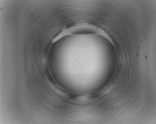 X0000071960084200607282044