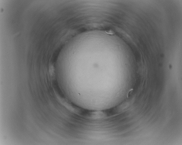 X0000071960087200607282044