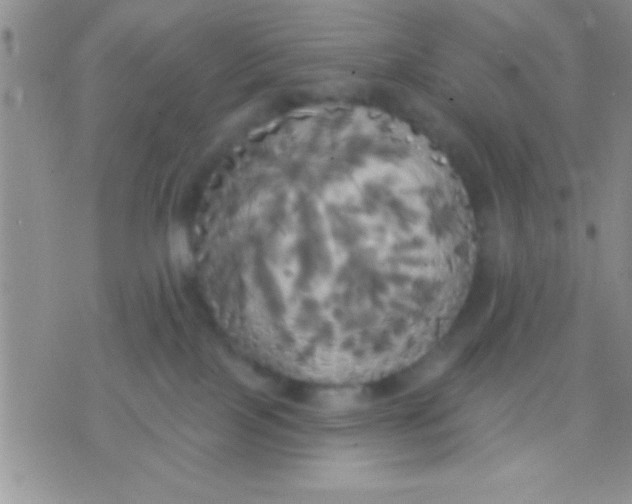 X0000071960089200607282044