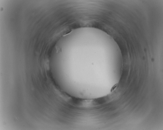 X0000071960090200607282044