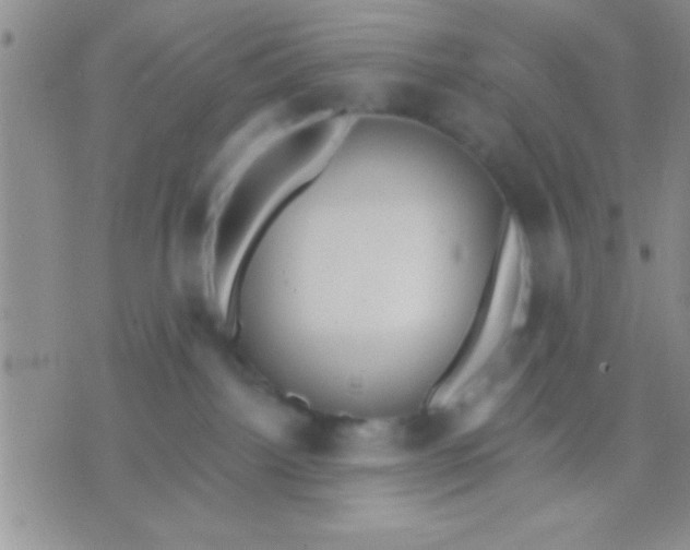 X0000071960092200607282044