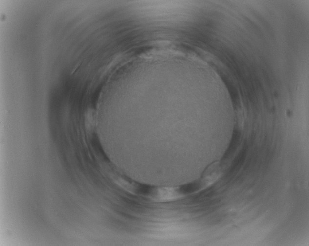 X0000071960093200607282044