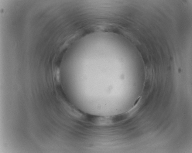 X0000071960094200607282044