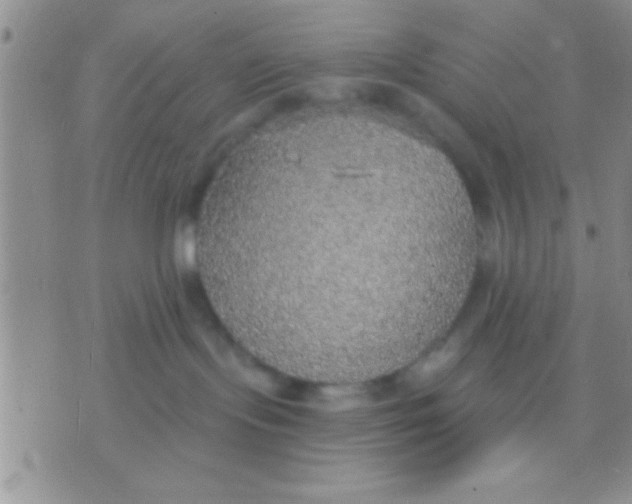 X0000071960095200607282044