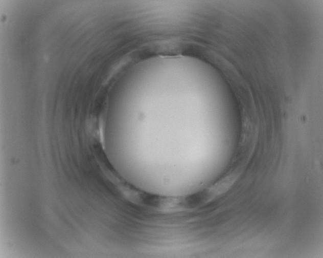 X0000071960096200607282044