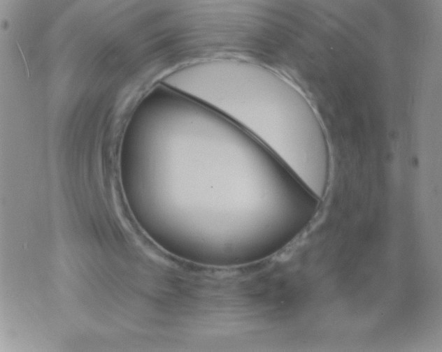 X0000071960097200607282043