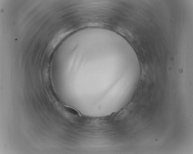 X0000071960098200607282043