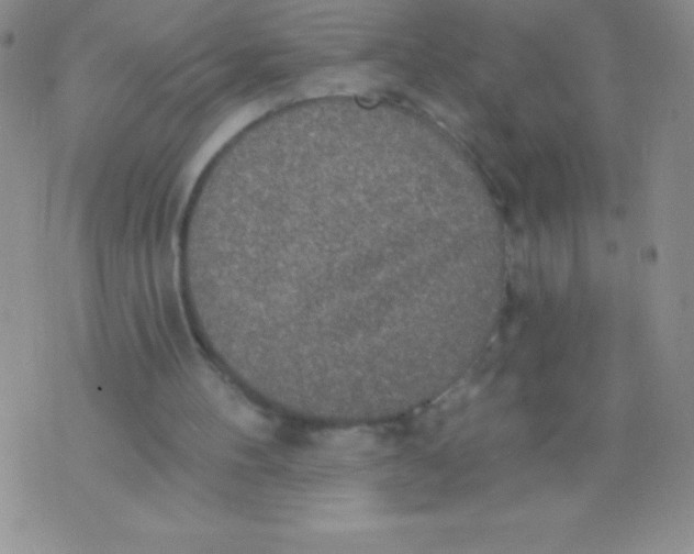 X0000071960100200607282043