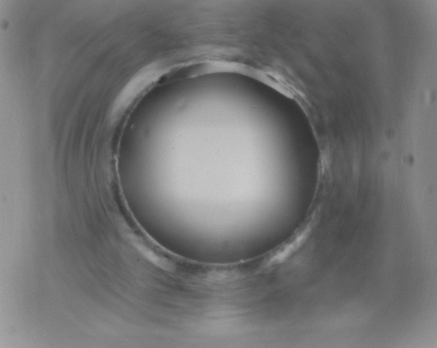 X0000071960101200607282043